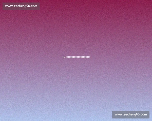 12 岁中国小将完美一跳夺冠：零水花惊艳全场